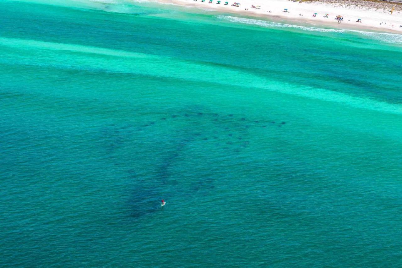 Apartmán Seascape 38A Destin Exteriér fotografie